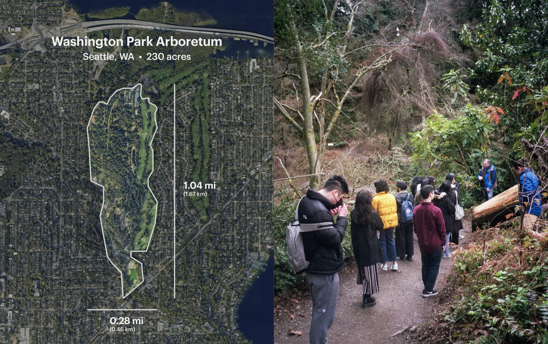 about the arboretum